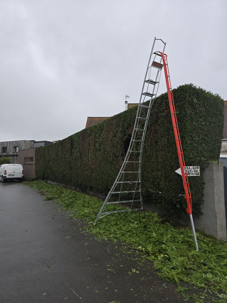 Installation de clôture en bois
