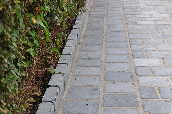 Entretien régulier de jardin